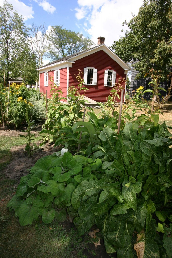 Dr. Howard office and garden