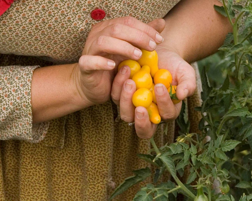 Presenter with tomatoes - Photo by Michelle Andonian, Michelle Andonian Photography