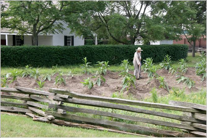 Susquehanna Plantation