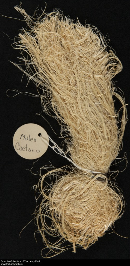 plant_samples_64.167.534.1.10