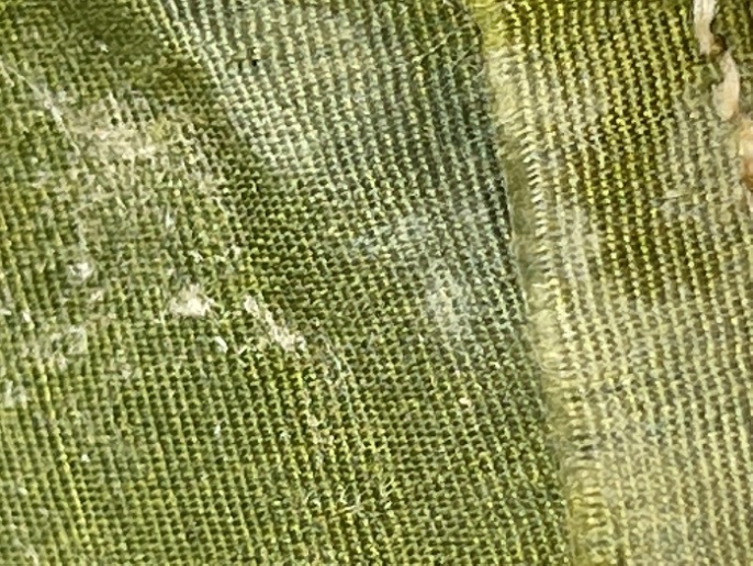 Mildew and fibers from wear Moss- and yellow-green fabric with white mildew and white fluff on it