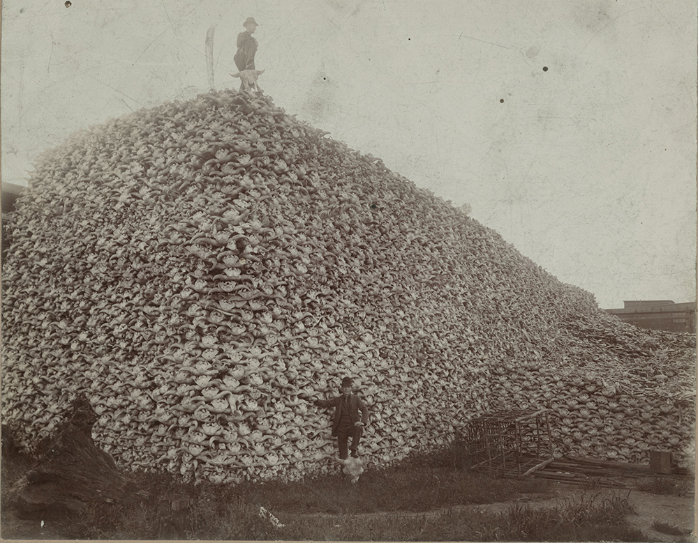 Remains_bones_blog Remains_bones_blog