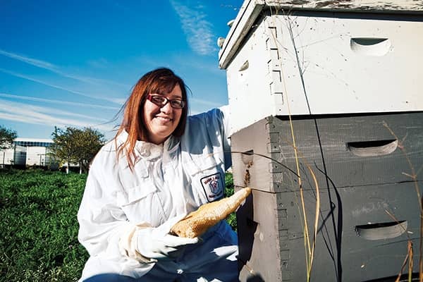 A beekeeper tends bees on the Living Lab