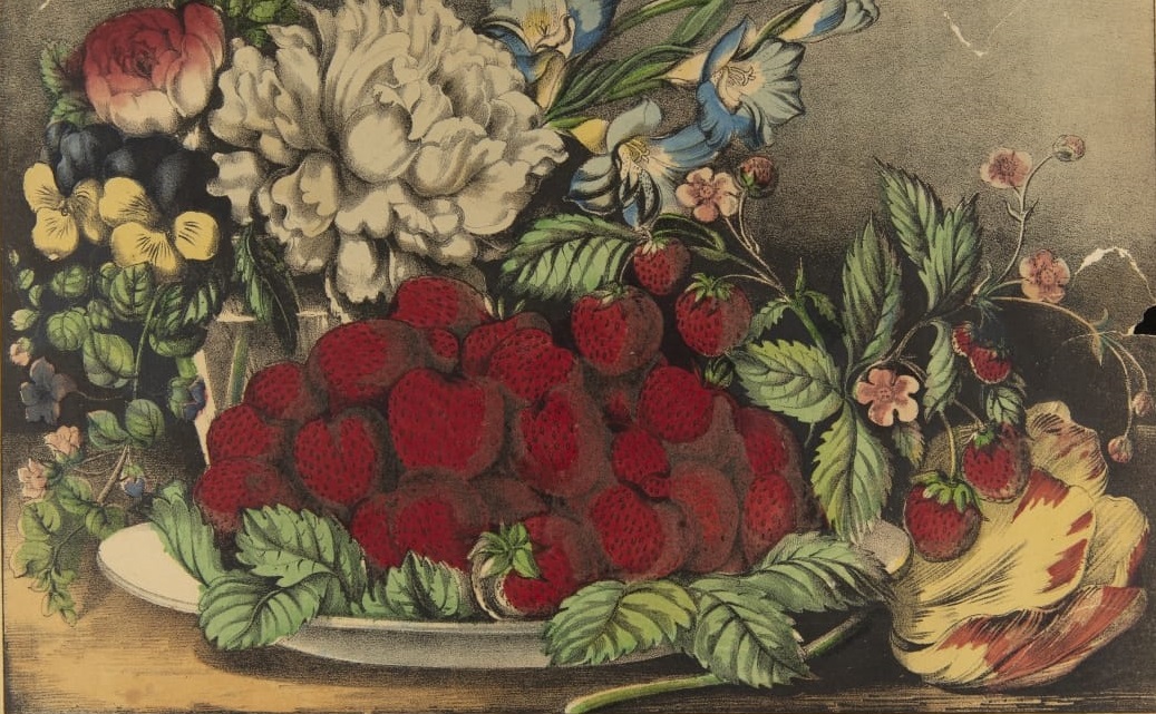 Lithograph, "Strawberries," by Currier & Ives, 1870 A plate of strawberries sitting on strawberry leaves, with a strawberry plant and flower forward and to the right, and a bouquet of flowers back and to the left