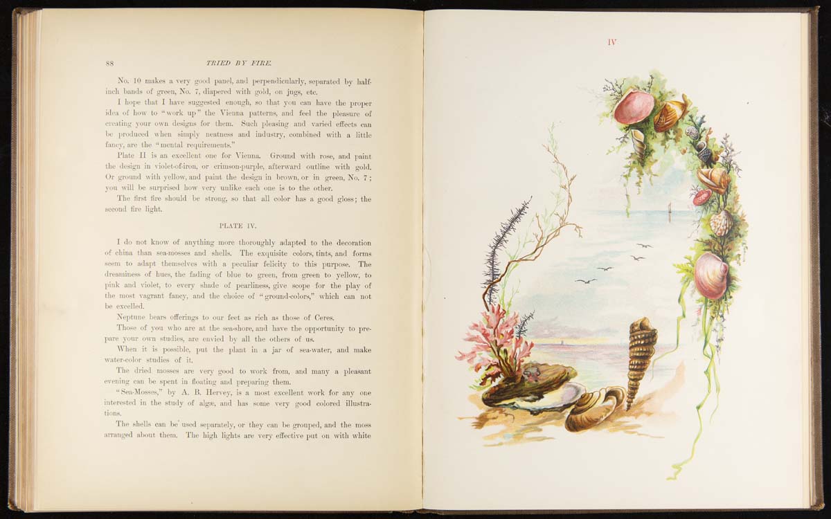 Tried by Fire: A Work on China Painting, 1886 / pages 98 & 99 Book open to one page of text and one of illustration of a beach, the ocean, seashells, and seaweed