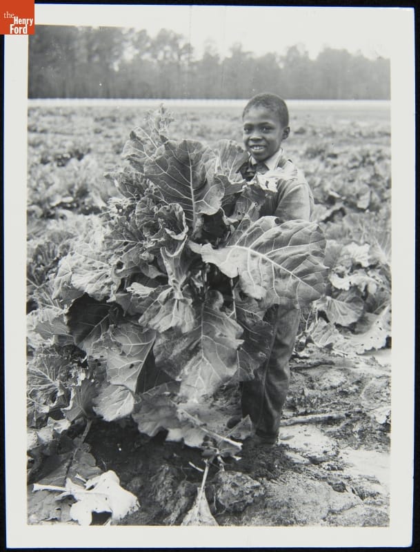 Black child holding large bunch of greens in a farm field of the same greens