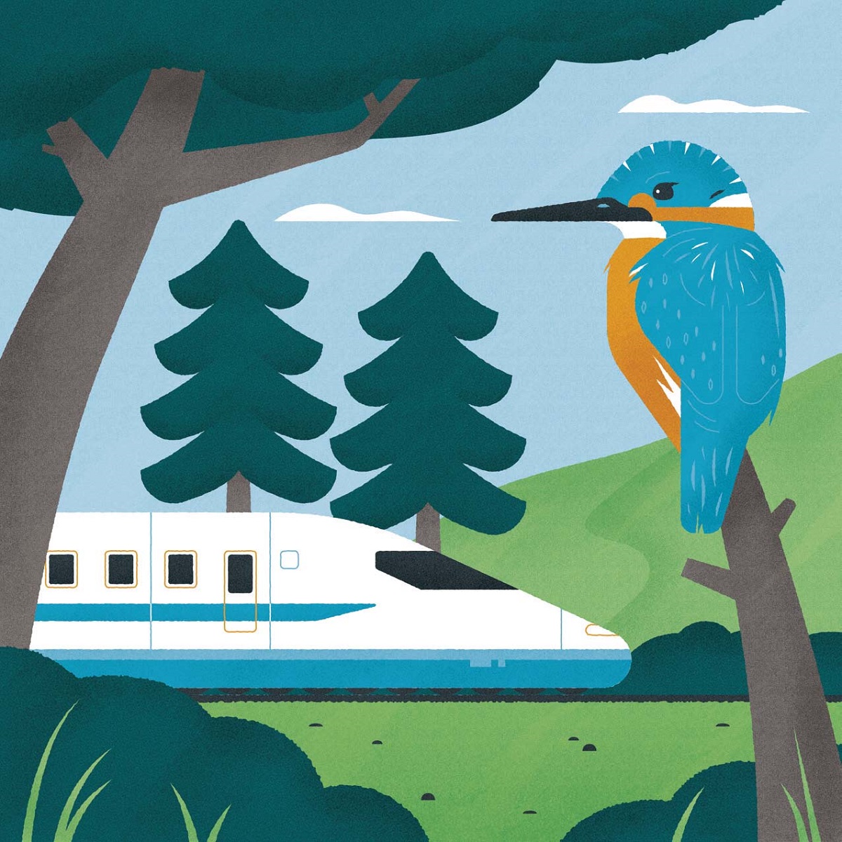The kingfisher inspired the design of Japan's bullet train Illustration of blue-and-orange bird with long beak sitting in a tree as a sleek train passes by in the background