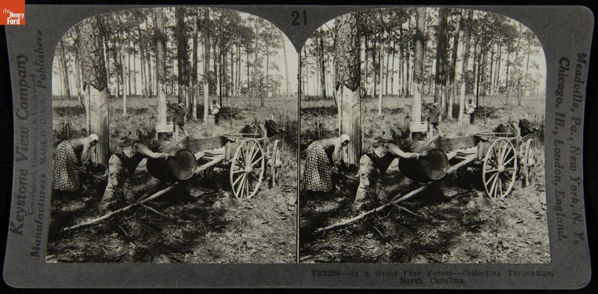 Duplicate arched photographs in a frame with text, depicting people working at trees in a wooded area, one rolling a barrel into a wagon 