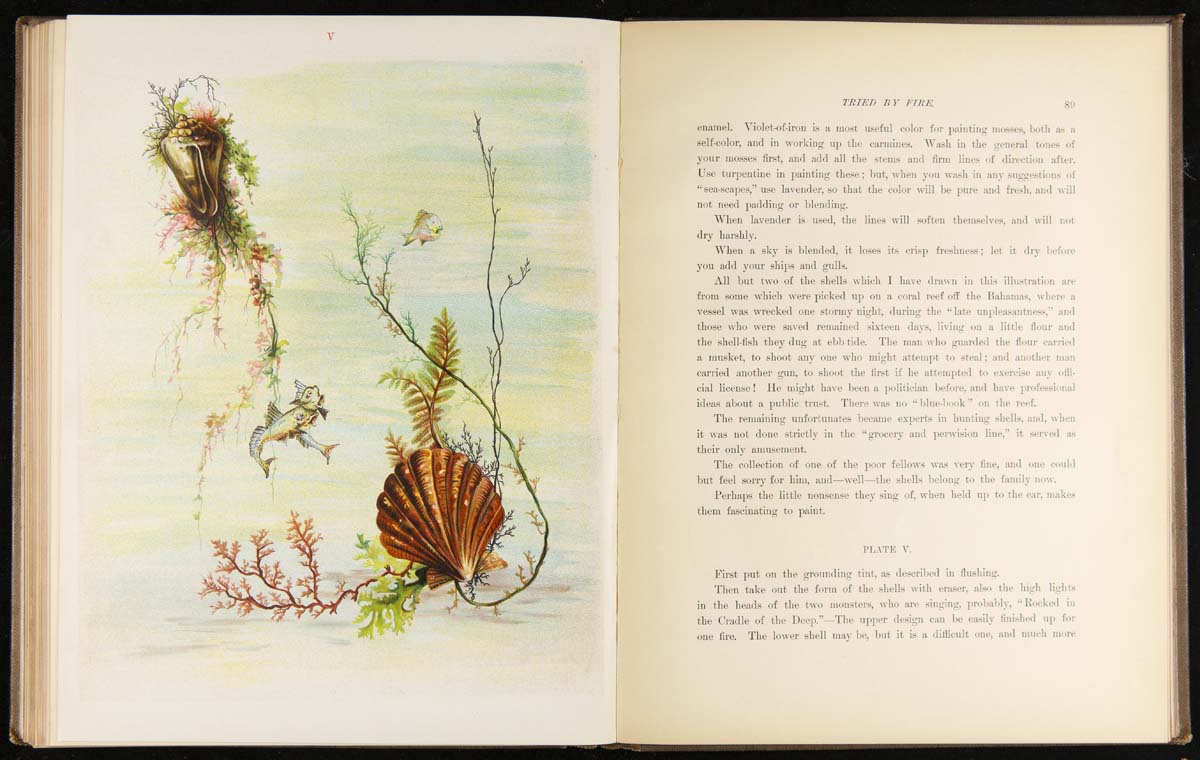 Tried by Fire: A Work on China Painting, 1886 / pages 100 & 101 Book open to page with illustration of seashells and seaweed in water and a page with text