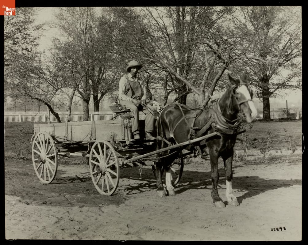 Farm Wagon with Horse and Driver, 1911-1915 Man in overalls and hat sits on driver's seat of an open wagon hitched to a horse