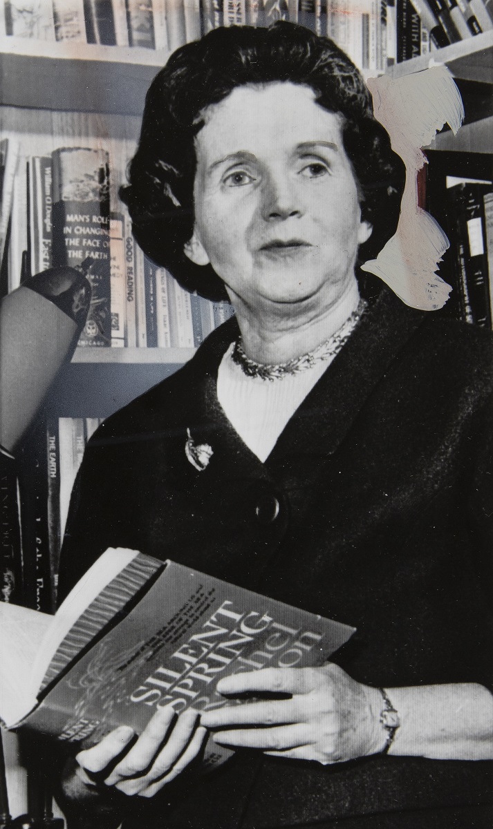 Rachel Carson Holding a Copy of Her Book, "Silent Spring," June 1963 Black-and-white photo of woman holding book in front of bookshelves