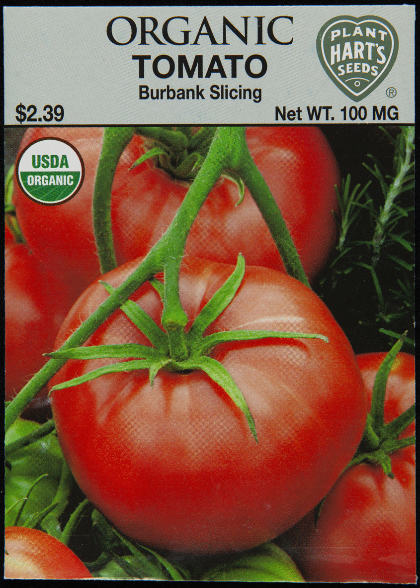 Seed packet with photo of tomato on front and text on back