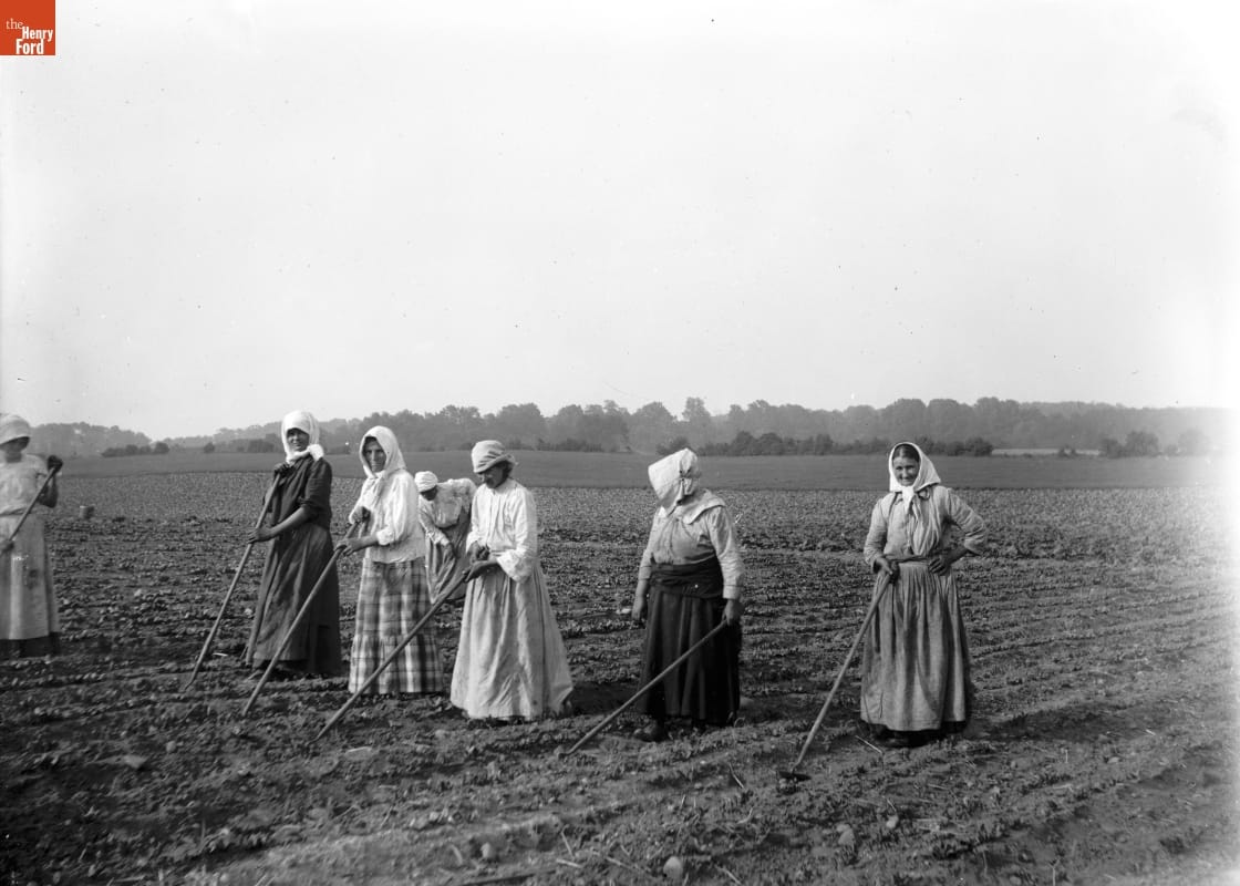 Seven women wearing kerchiefs and long skirts work in a field