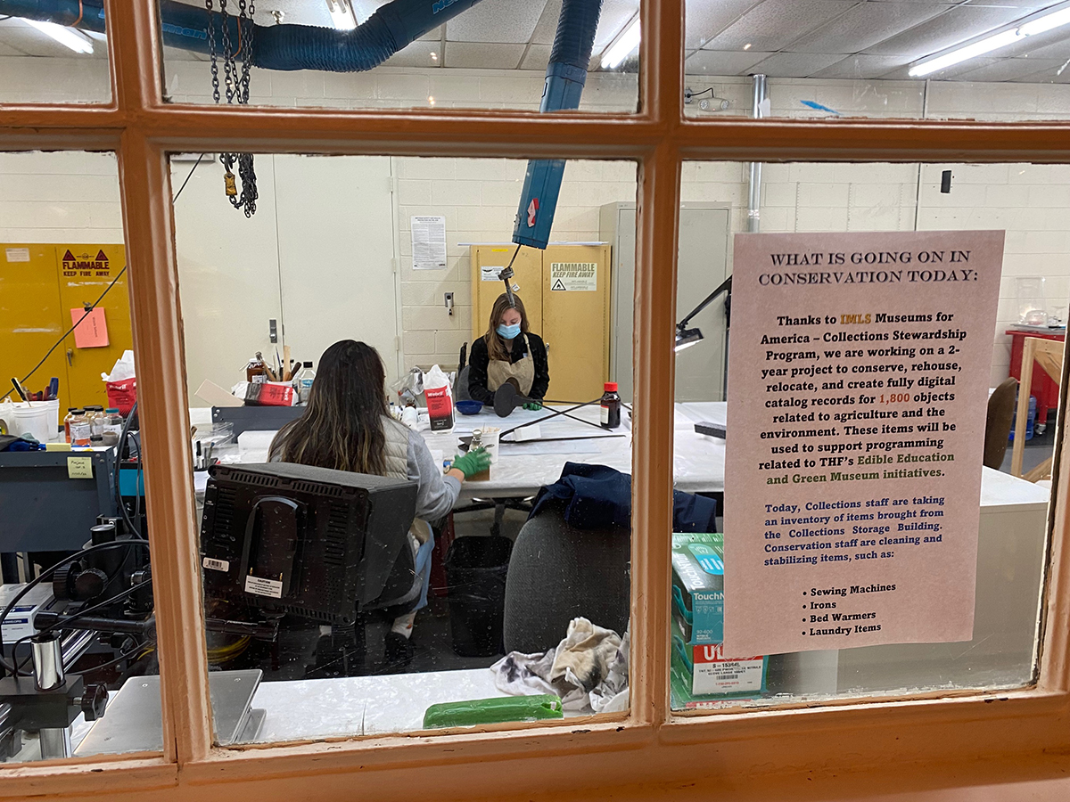 View of the Staff working in the Conservation Lab