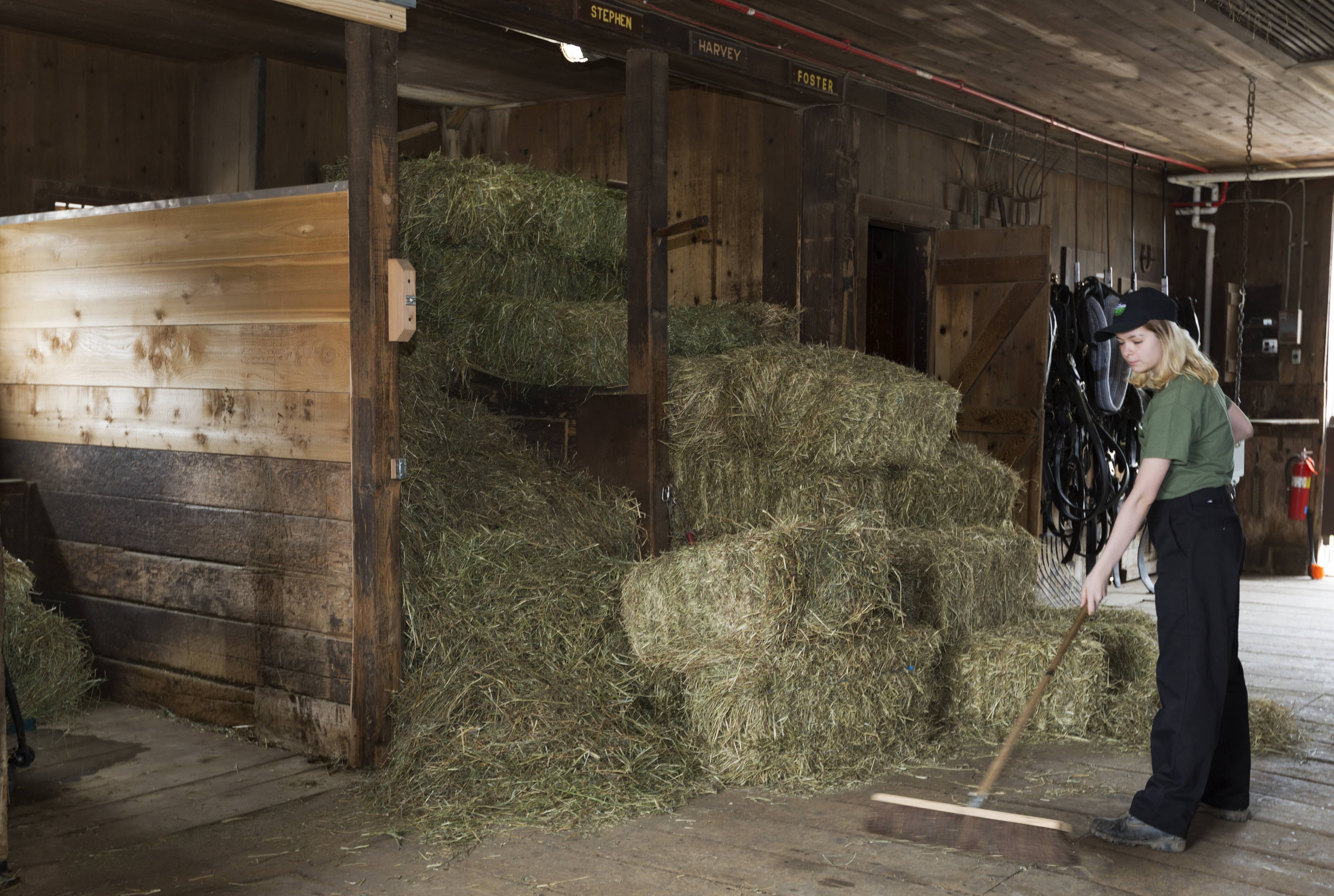 8U4A6826-1 8U4A6826-1