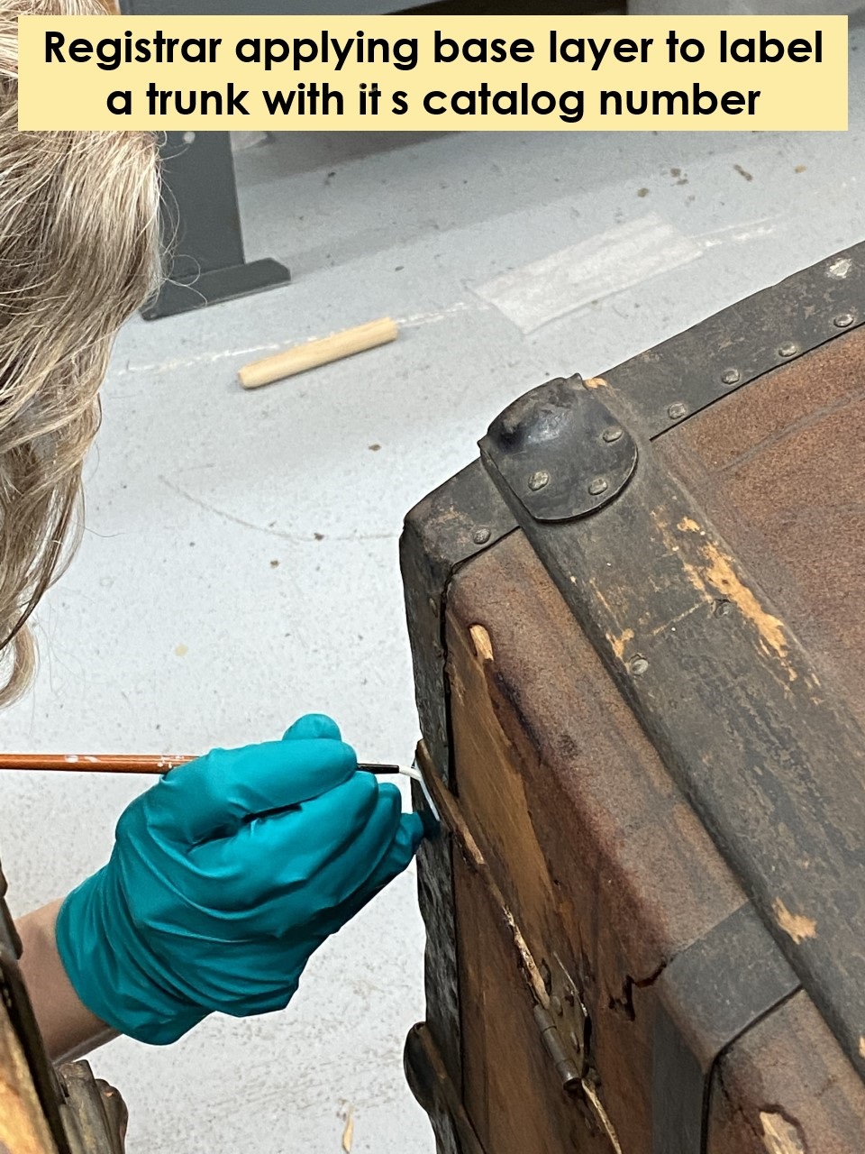 Registrar applying a base layer to label a trunk with its catalog number Hand in blue gloves holding brush or pen to corner of trunk
