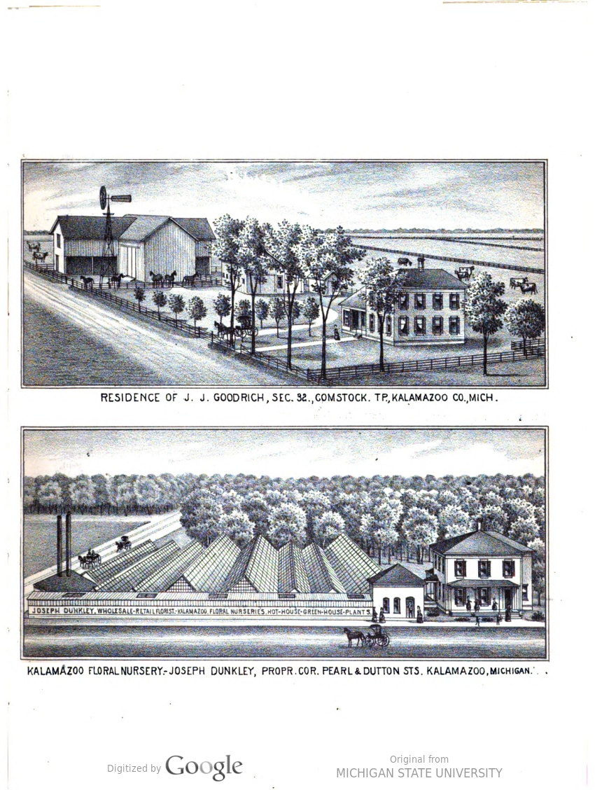 msu.31293103504787-seq_937