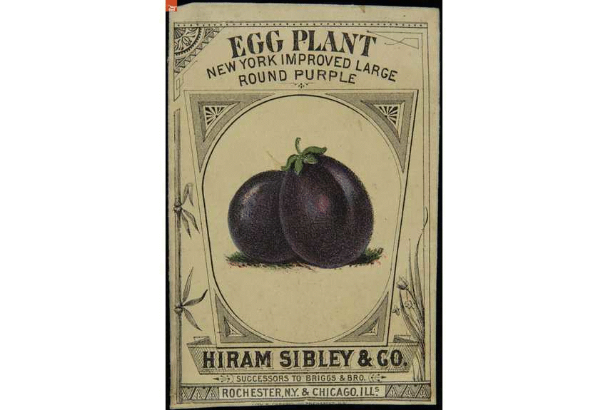 Sibley & Co. seed packets GIF rotating through a number of seed packets with images and text