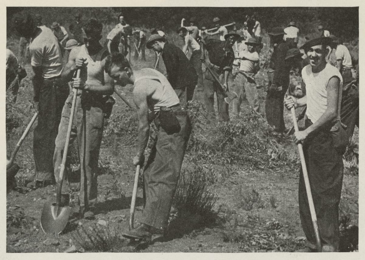 Black-and-white photo of men with shovels dig in a clearing