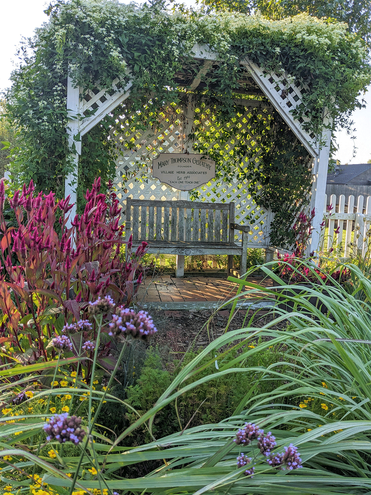 A bench under an archway covered in vines