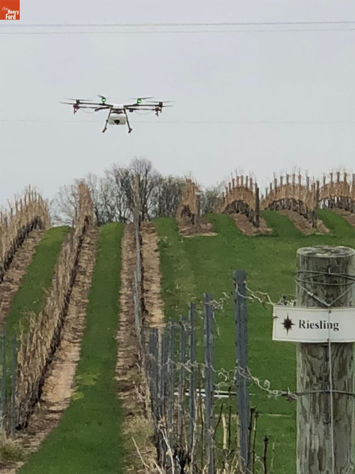 The Agras MG-1 in flight over a Michigan vineyard. Gift of Northwestern Michigan College